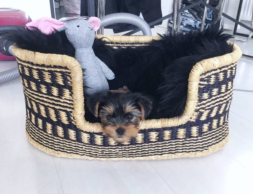 Modern dog bed | Large dog bed | Dog Basket - AfricanheritageGH